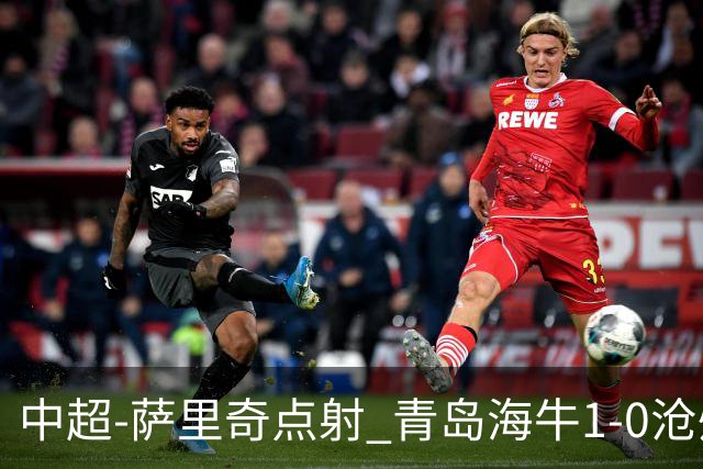 中超-萨里奇点射 青岛海牛1-0沧州雄狮携手保级